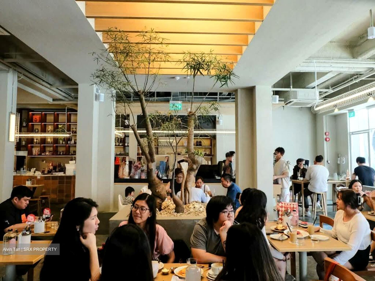 Jalan Besar (D8), Shop House #529251511